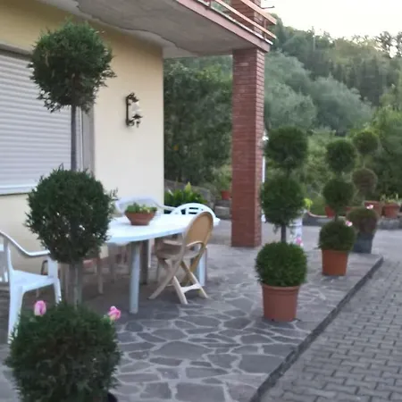 Morianese *